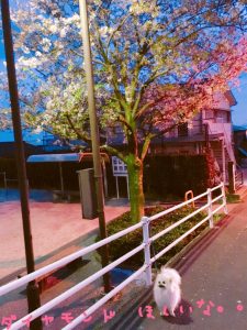 ダイヤモンド買取なら松山市の大吉松山久万ノ台店にお任せ下さい