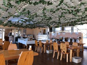 買取 延岡 金貨