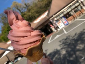 買取 延岡 エルメス