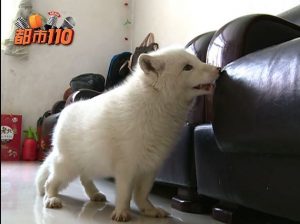 電化製品を港区弁天町で売るなら高価買取の大吉！2