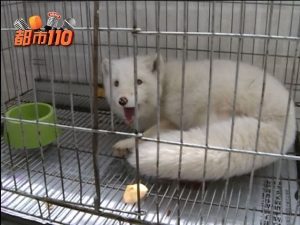 電化製品を港区弁天町で売るなら高価買取の大吉！4