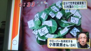 ダイヤモンドを港区弁天町で売るなら高価買取の大吉!3