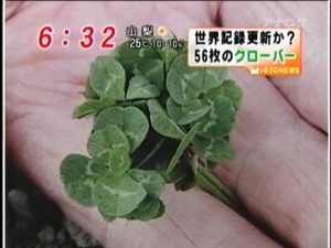 ダイヤモンドを港区弁天町で売るなら高価買取の大吉!4