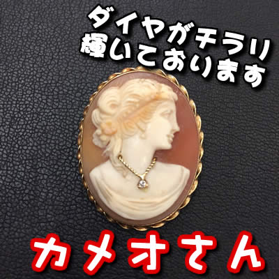 カメオ 売りたい 長岡