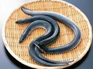 古いお金を港区弁天町で売るなら高価買取の大吉!2