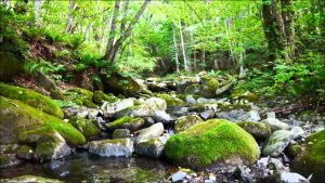 テレカを港区弁天町で売るなら高価買取の大吉！2