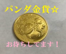 IMG_6399-1-1-300x225