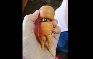 各種ギフトカードを港区弁天町で売るなら高価買取の大吉!