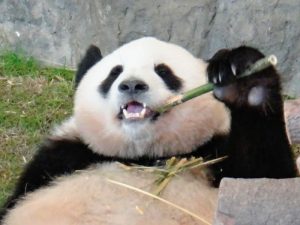 テレカを港区弁天町で売るなら高価買取の大吉！3