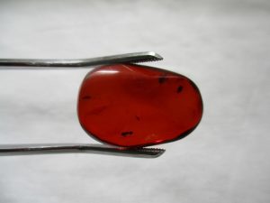 i-img640x480-1531553654djejfh348485