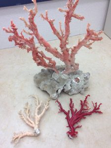 なんでも買取　三田市の買取専門店大吉えるむプラザ三田店