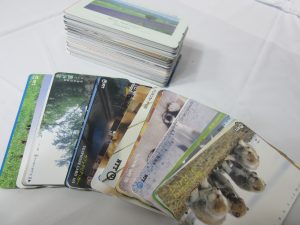 テレホンカードを売るなら今です！買取専門店　大吉羽曳野店