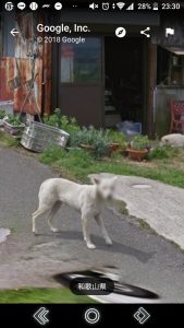 商品券を港区弁天町で売るなら高価買取の大吉！2