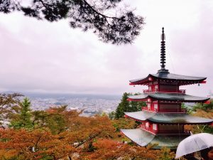 テレホンカードの買取なら、大吉イオンタウン山梨中央店にお任せ下さい！