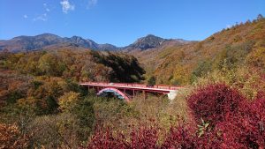 ダイヤモンド買取キャンペーン実施中!大吉イオンタウン山梨中央店です。