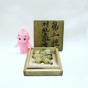 52961216_2331336203858279_357254524982788096_n