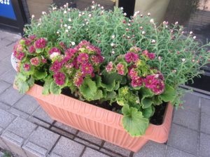 2019年、2月が始まりました。大吉本八幡店は本日も元気に営業中です!