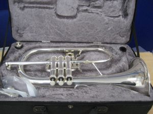 i-img1200x900-1541817137jxquei2073440