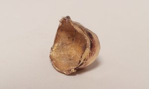 買取 厚木 金歯