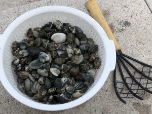 ダイアモンド超高価買取キャンペーン開催中♪大吉イオンタウン山梨中央店☆