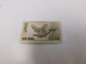 i-img1200x900-1556259786cojajc1089706