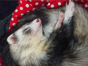 ロレックス　買取します