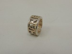 DSCN98561-300x225-300x225