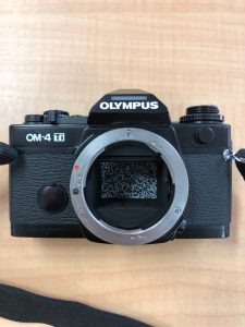 IMG_1823-1-e1537935270869-225x300