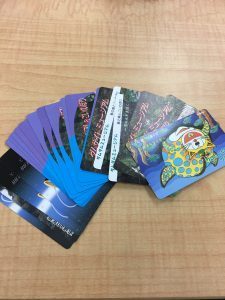 IMG_2645-1-e1521863739871-225x300-225x300