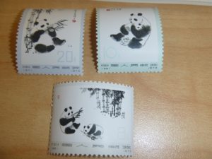 P1100435-300x225-300x225