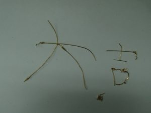 ご存知ですか？霧島市の買取専門店大吉霧島国分店はK18のメガネフレームもお買取するんですよ！