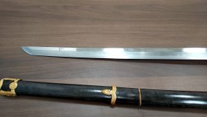 20190315_110858768-300x169