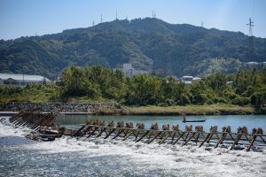 延岡 五ヶ瀬川 鮎やな