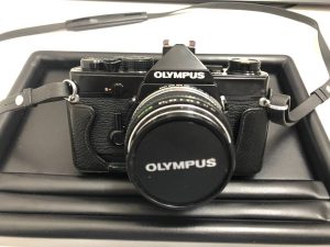 i-img1200x900-1570267185k0ee5i391231