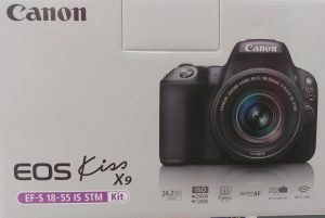 large-5880554187f046efbbc3ee11e4987a18[1]