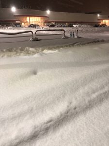 F769A141-680B-4B5A-8E74-8E539E9F113D