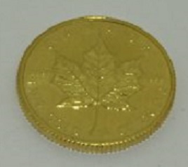 IMG-3496-e1583112898120-225x300