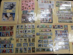 i-img1200x900-15852969086dyuur1439825[1]