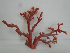 赤珊瑚のお買取りを致しました。買取専門店大吉ゆめタウン中津店(大分)です。