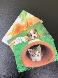 8DA0DDAD-89AA-4EC8-B988-40997554E09D