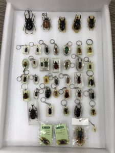 キーホルダーコレクションもお買い取り！！ お買い取り品目多数！！ 幅広くお取り扱い中です(＾◇＾)