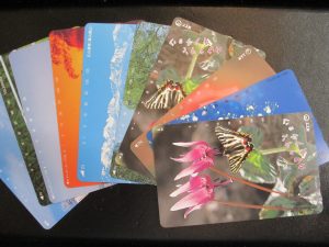 大吉 武蔵小金井店 テレホンカードの画像です