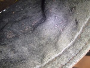 今月もブランド製品買取好調!ルイヴィトン・グッチのお買取は姶良市の買取専門店大吉タイヨー西加治木店におまかせ!