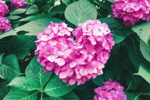 Processed with VSCO with hb2 preset