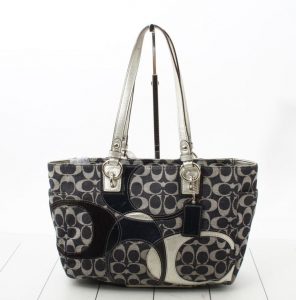 F17182 トートバッグ イントレイド