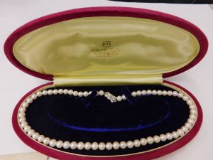 i-img1200x900-1602138860wa5x7h19684