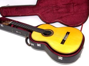 桜井正毅 パリコンモデル