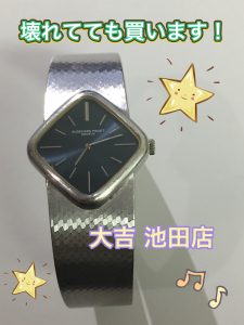 オーディマピゲ