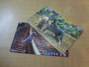 210226テレフォンカード、お持ち下さい！　大吉大橋店です