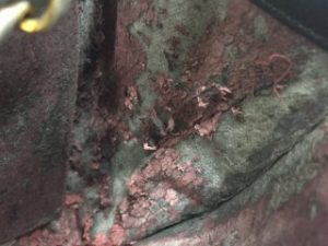 シャネル,買取,堺市